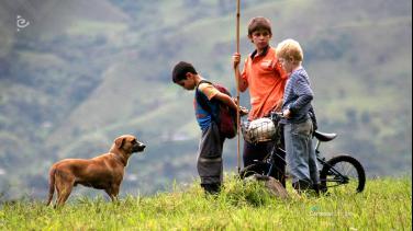¡Estreno! "Los colores de la montaña" ya está disponible en RTVCPlay