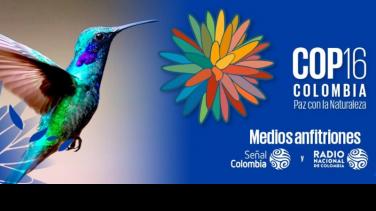 ¡Cinco cosas que debes saber de la COP16!