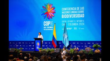 COP16: el futuro de la biodiversidad del planeta entero inicia su discusión en Cali