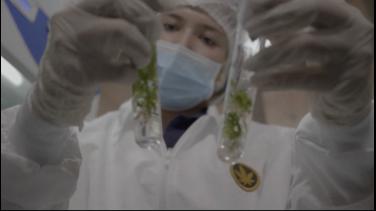 Señal Colombia y Radio Nacional: medios oficiales de la Conferencia Internacional de Reducción de Daños