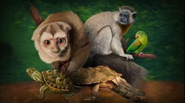 Señal Colombia conmemora el Día Mundial de las especies silvestres