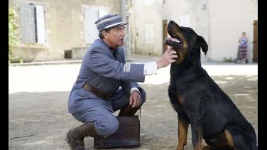 Cine para programarse este fin de semana por Señal Colombia