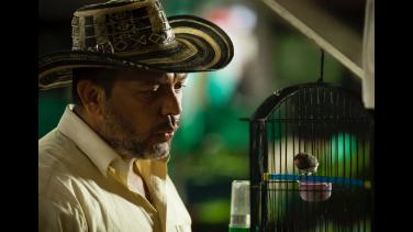 Por qué no puedes perderte en cines "El Árbol Rojo", coproducción de RTVCPlay