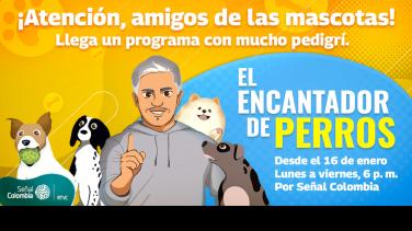No te pierdas El encantador de perros, de lunes a viernes en Señal Colombia