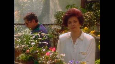 Señora Isabel, la original, llega a la pantalla de Señal Colombia