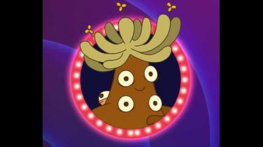 Retos para hacer pedagogía sobre los frailejones