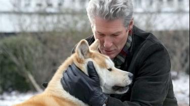 ¡En cine nos vemos! Conoce las películas de agosto por Señal Colombia