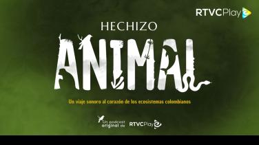 Escucha "Hechizo animal": un viaje sonoro a nuestros ecosistemas