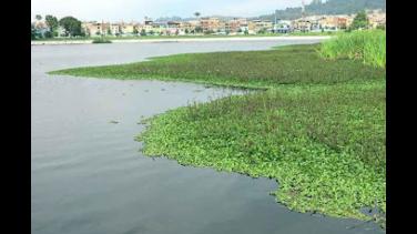 Medidas de protección para conservar nuestros humedales