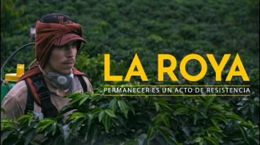 Cinco películas para disfrutar en RTVCPlay en 2023