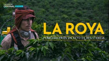 El pódcast Hecho en Colombia explora "La Roya", disponible en RTVCPlay