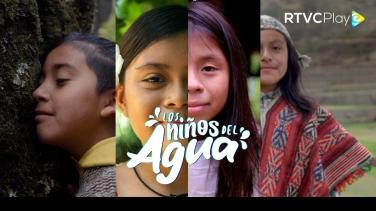 Producciones para maratonear y entender la COP16