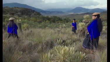 Páramos, el origen: documental de estreno por Señal Colombia
