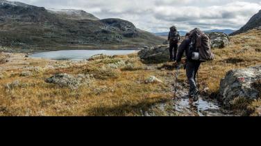 Los mejores planes ecológicos, con tu amigo Canal Institucional