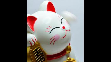 Año nuevo chino: ¿Qué significa el año del conejo de agua?