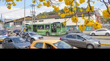 Canal Institucional te cuenta cómo funcionará el Pico y Placa en diciembre