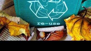 La importancia de reciclar, con tu amigo Canal Institucional