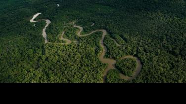 Respira Amazonía: las acciones del Gobierno para proteger el Amazonas