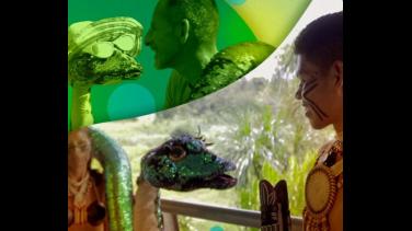 Respira Amazonía: cómo ayudar desde casa