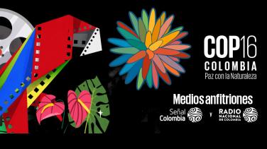 Seis películas disponibles en RTVCPlay para entender la COP16