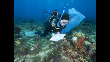 Los tesoros de Seaflower: especial de Radio Nacional de Colombia