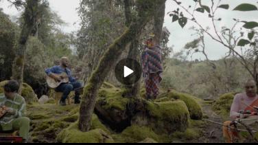 ¿Ya viste nuestro último Sesiones RTVC con Bomba Estéreo?