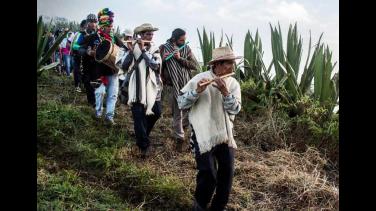 Mira "La sinfónica de los Andes" en RTVCPlay