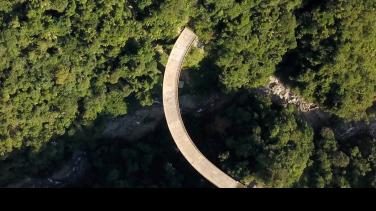 De qué se trata "Suspensión", el documental más visto en RTVCPlay