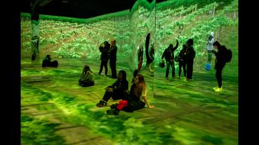 ¿Sin plan finalizando diciembre? ﻿Vive gratis una experiencia inmersiva e inolvidable