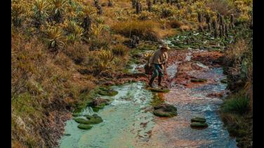 "Páramos, el país de las nieblas", un documental sobre estos ecosistemas