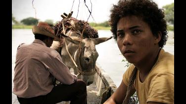 ¡Estreno! "Los viajes del viento" ya está disponible en RTVCPlay