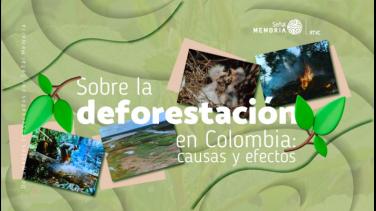Nuestros problemas de deforestación, en el archivo de Señal Memoria