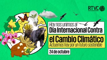 Día Internacional contra el Cambio Climático: Compromisos y Reflexiones para un Futuro Sostenible
