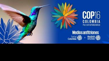 Las 5 cosas que debes saber de la COP16