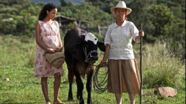 Dos mujeres y una vaca película gratis en RTVCPlay