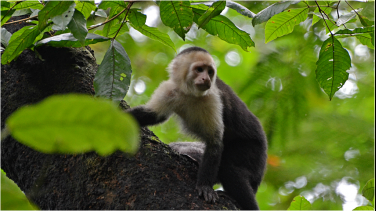 ´El planeta cuenta´ por Señal Colombia