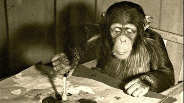 Animales inteligentes, documental de la BBC por Canal Uno