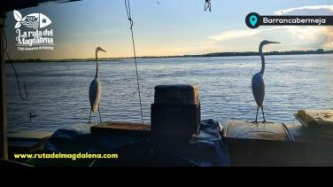 La Ruta del Magdalena: historias para repetir una y otra vez