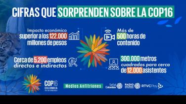 Las sorprendentes cifras de la COP16