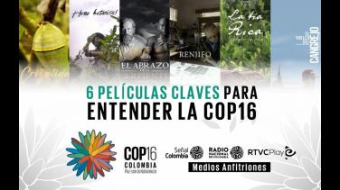 6 películas claves para entender la COP16