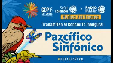 Así podrá ver el concierto inaugural de la COP16 ‘Pazcífico Sinfónico’
