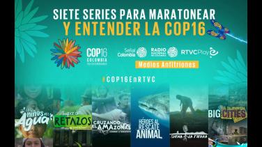 7 series para maratonear y entender la COP16