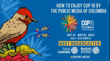 How to enjoy COP16 by The Public Media Of Colombia