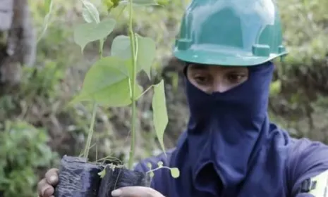 Mujeres rurales, las guardianas del medio ambiente en el Catatumbo