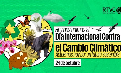 Día Internacional contra el Cambio Climático: Compromisos y Reflexiones para un Futuro Sostenible