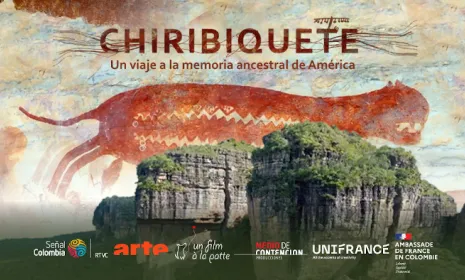 Colombia y el mundo conocerán información sobre Chiribiquete que es clave para la humanidad