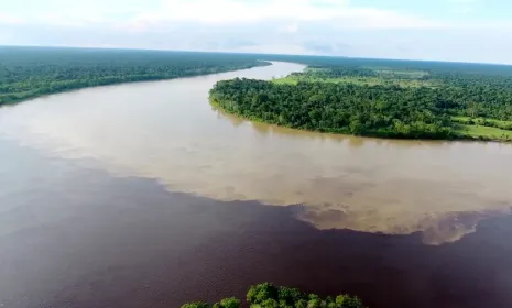 Música y medio ambiente: la oferta de RTVC para este lunes festivo