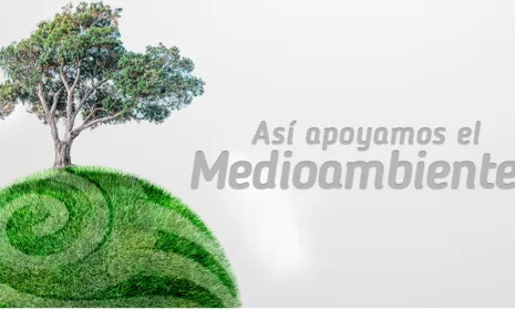 Día del Medio Ambiente