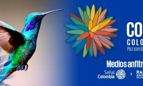 Las 5 cosas que debes saber de la COP16