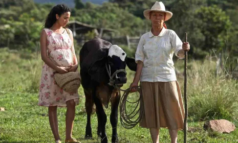 Dos mujeres y una vaca película gratis en RTVCPlay